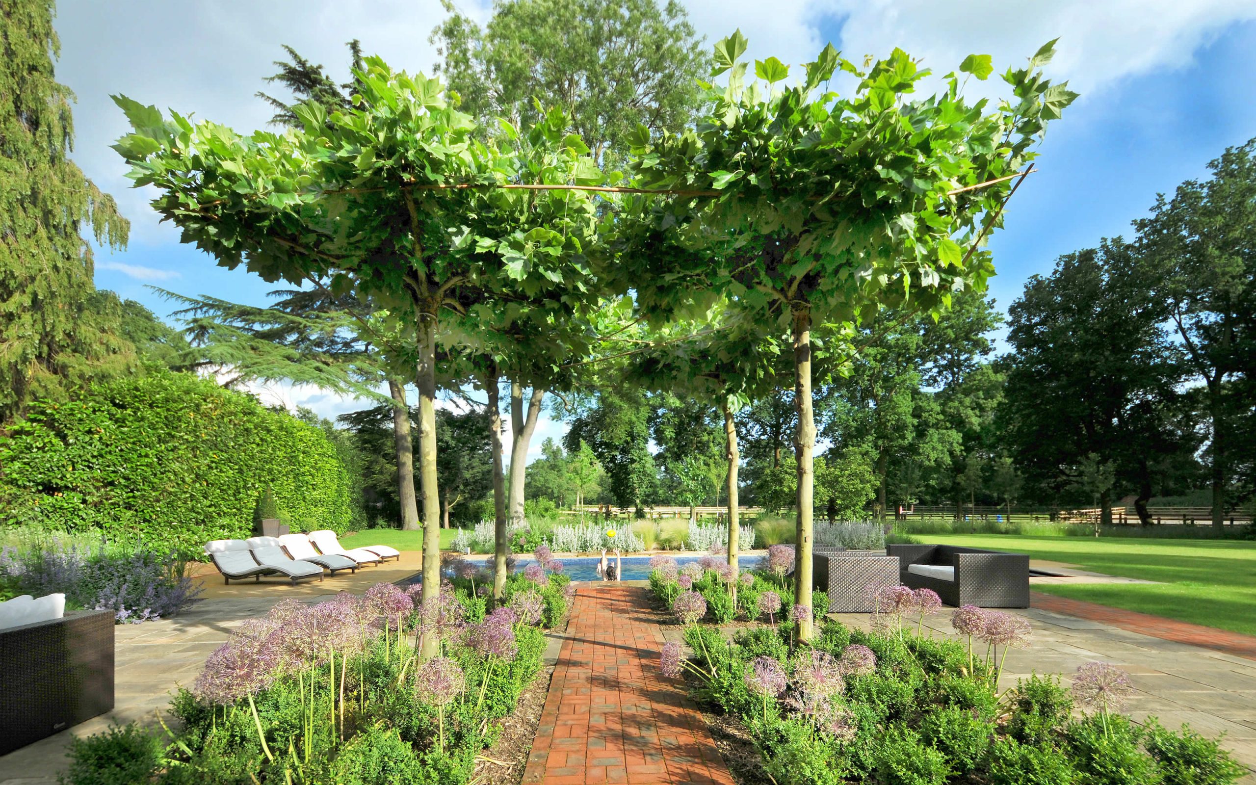 Chobham surrey country garden pleached trees modern luxury design