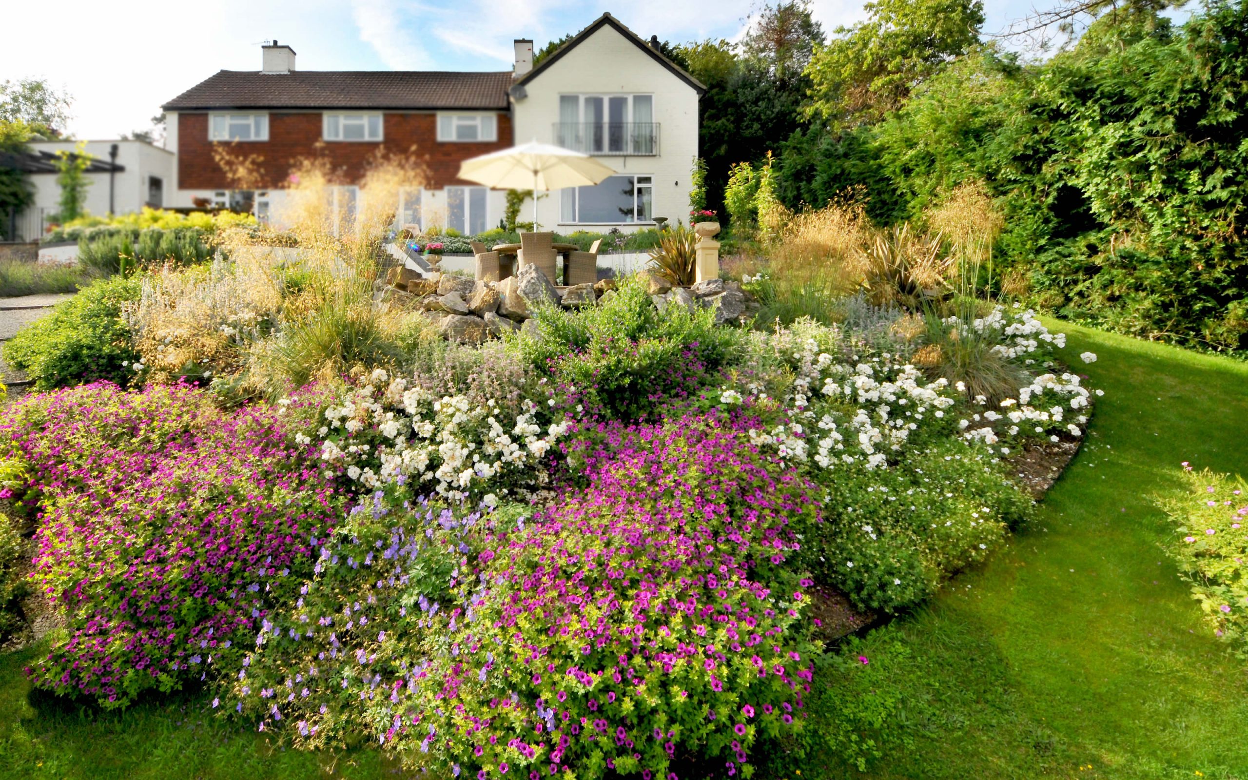 Guildford Surrey terrace vibrant planting scheme