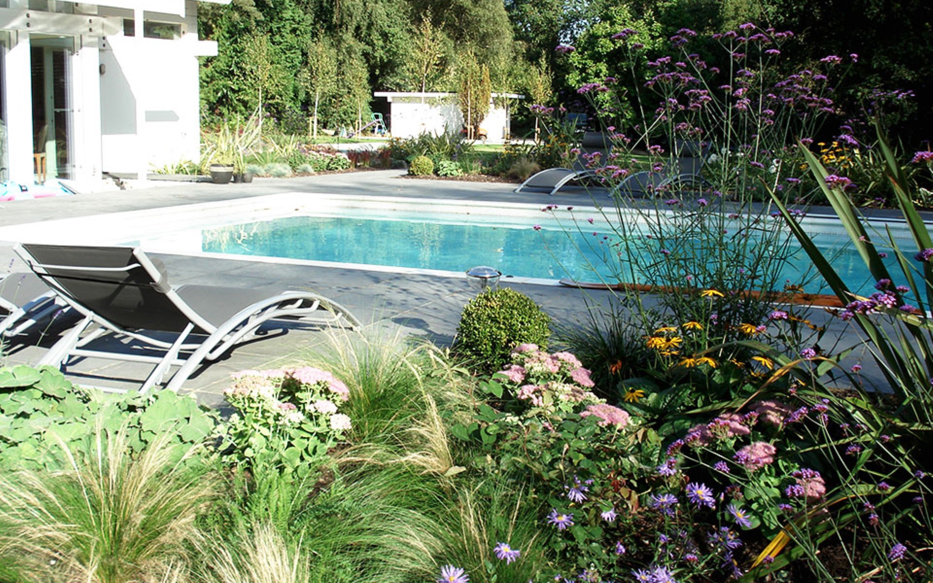 huf house surrey pool grasses garden design